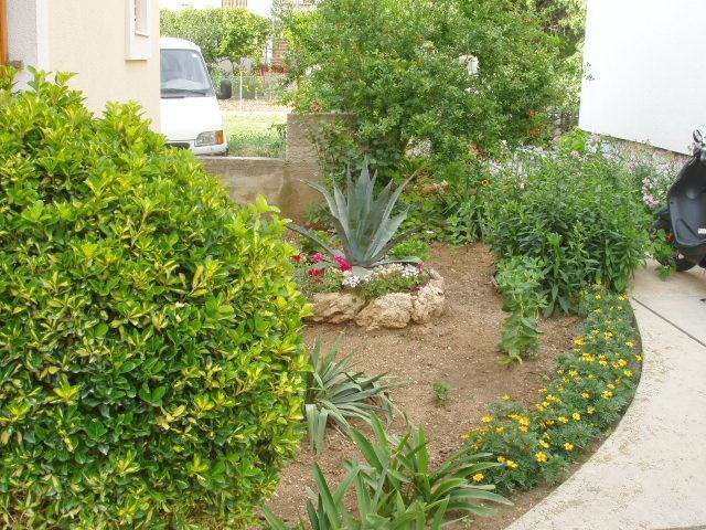 Apartment Sare Betina  Εξωτερικό φωτογραφία